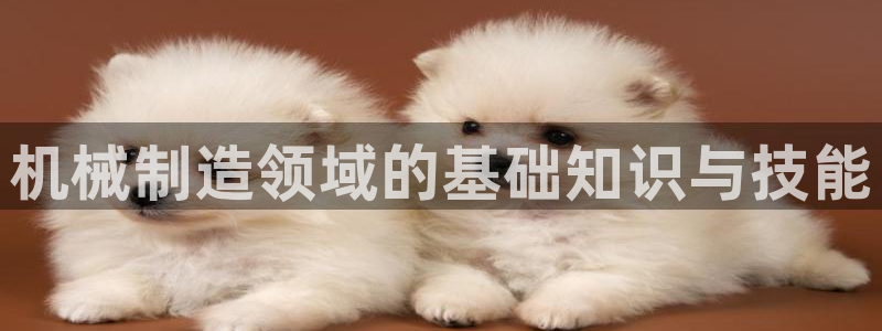 义乌摩根娱乐会所消费