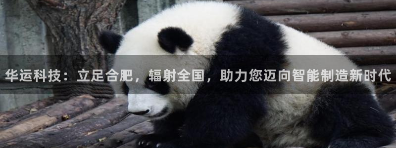 摩根娱乐宝是什么东西