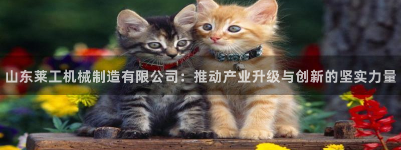 摩根娱乐云挂机项目怎么下载