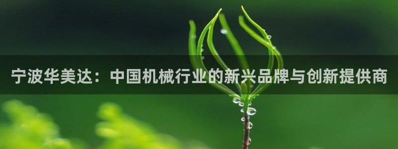 猫眼娱乐摩根士丹利