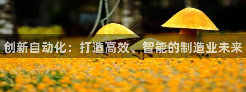 泉州摩根会娱乐