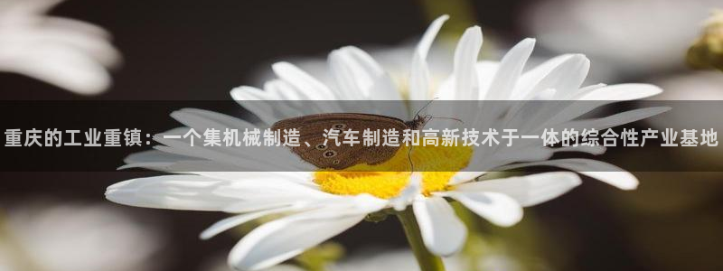 摩根娱乐云挂机项目