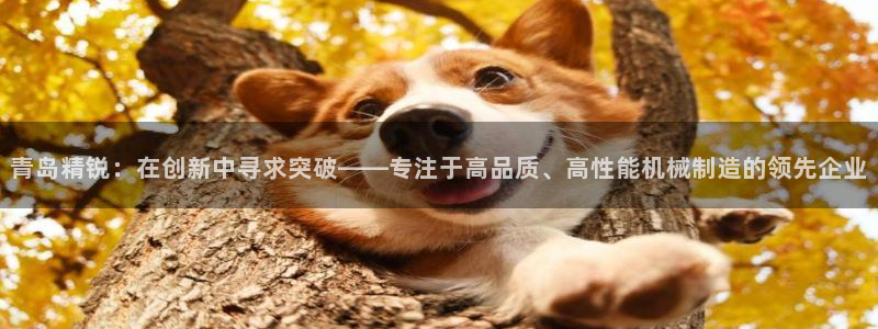 摩根娱乐询问市场总监86738k