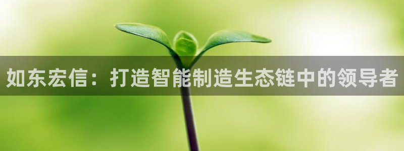 泉州摩根会娱乐有限责任公司管理