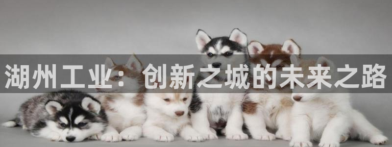 摩根娱乐宝是真的吗