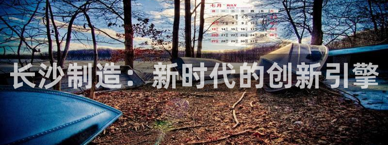 摩根娱乐宝怎么盈利