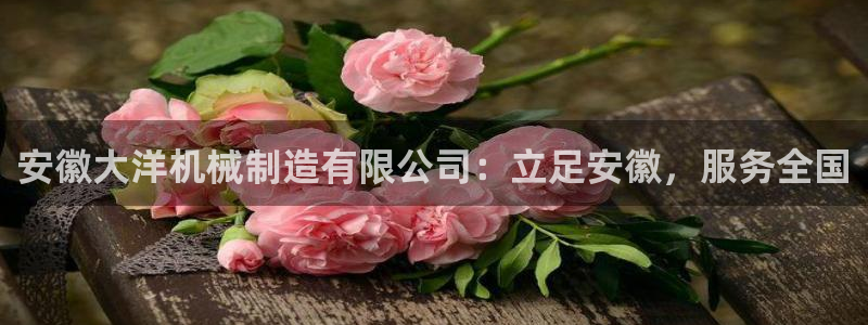 摩根娱乐宝与