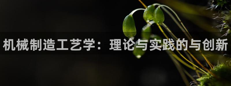 福建泉州白宫摩根会娱乐