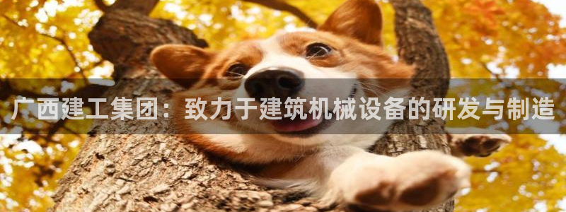 摩根娱乐 1老j板50820