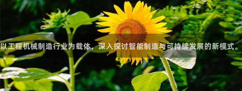 摩根娱乐会所招少爷么