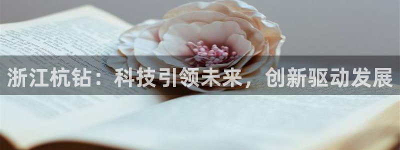 华视娱乐摩根王琛
