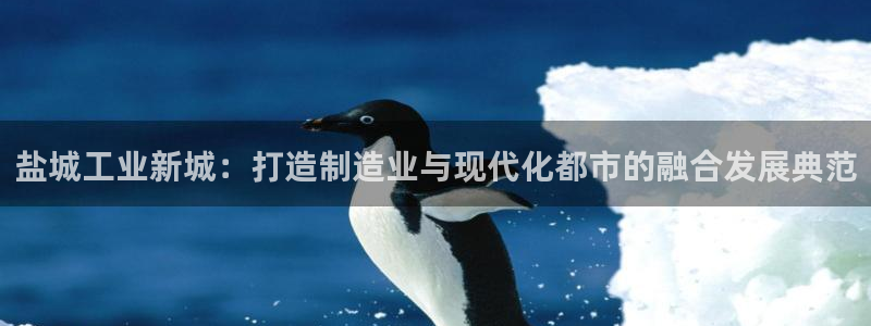 柬埔寨西港摩根娱乐