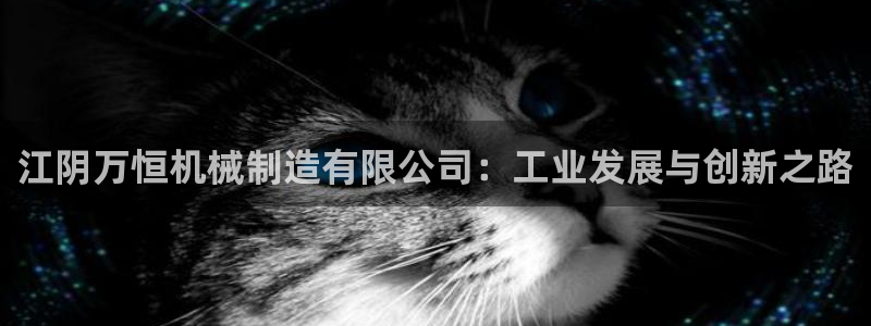 摩根娱乐开户总s管50015 15