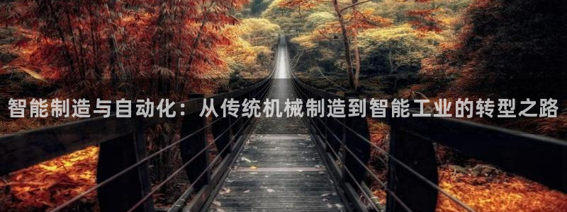 摩根国际娱乐宝官网