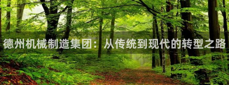 上投摩根娱乐