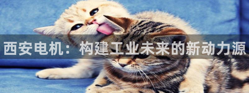上投摩根娱乐