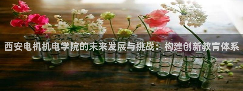 摩根娱乐宝是真的吗