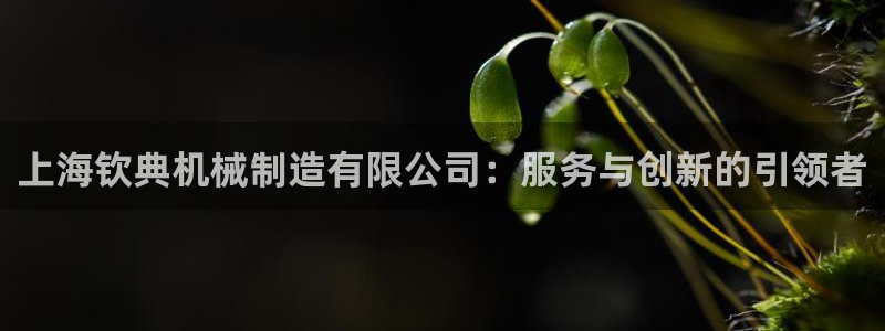 摩根娱乐宝在哪里登录