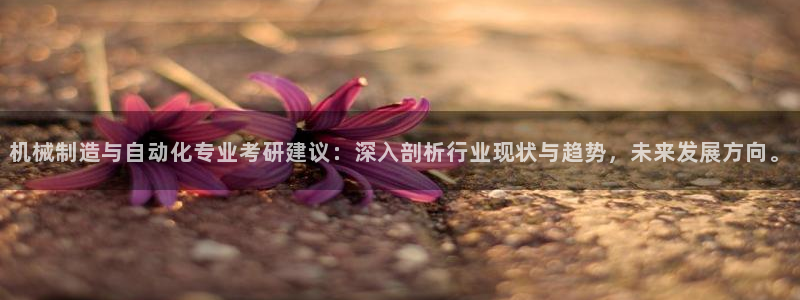 摩根娱乐宝是什么游戏