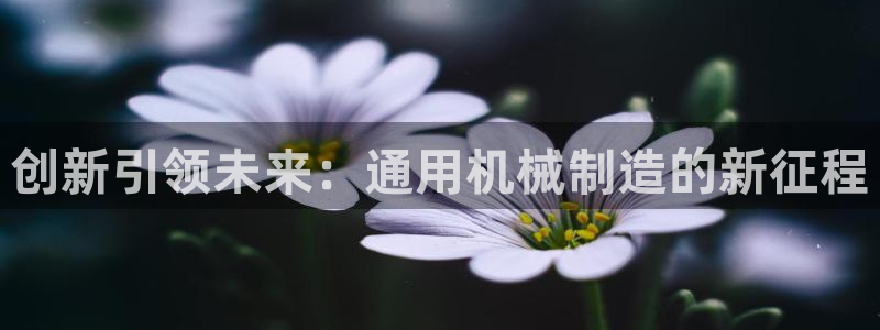 摩根娱乐怎么样