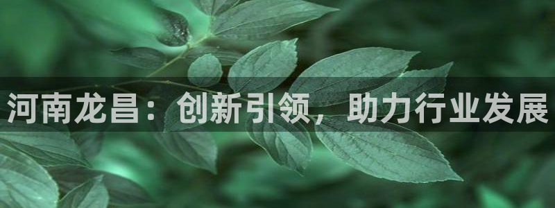 厦门摩根会娱乐