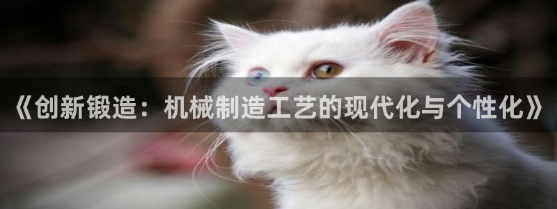 摩根娱乐宝是什么东西