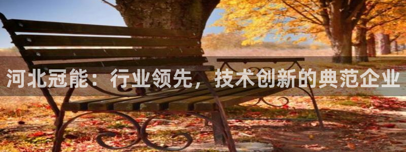 摩根娱乐视频大全