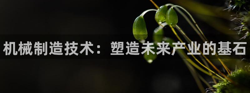 摩根娱乐宝怎么赚钱