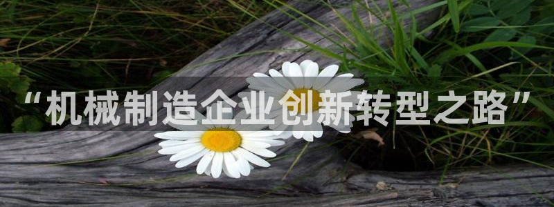 摩根大通会员买金沙娱乐