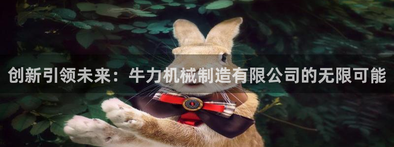 摩根士丹利娱乐银行