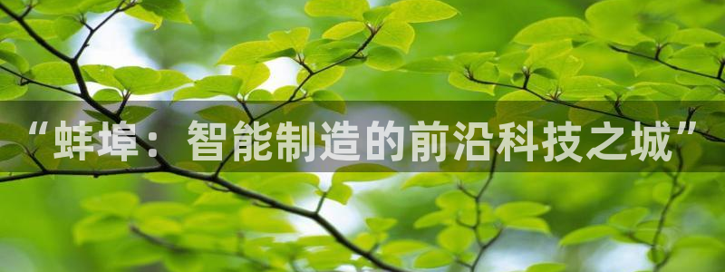 摩根娱乐视频大全
