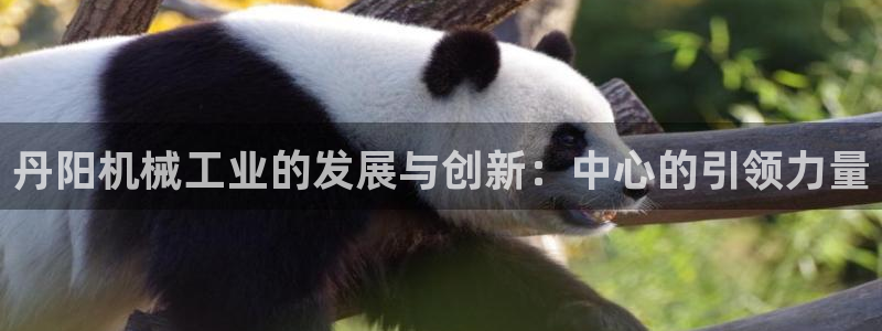 摩根娱乐包是什么意思