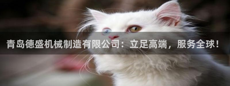 摩根娱乐宝真的假的