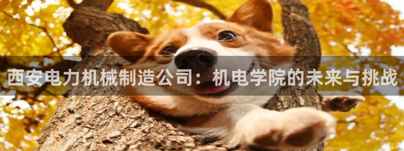 摩根娱乐包是什么意思