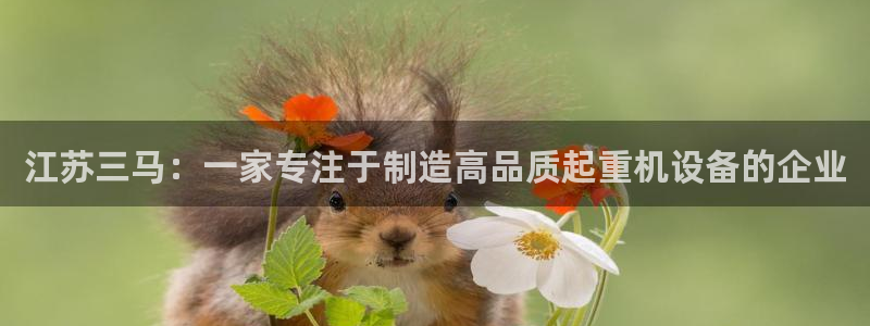 摩根士丹利娱乐银行