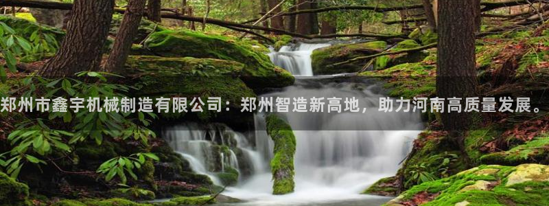 泉州摩根会娱乐有限责任公司管理