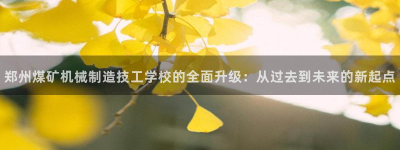 摩根娱乐↑总s管50015