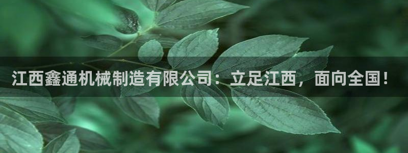 摩根娱乐 实c力77310