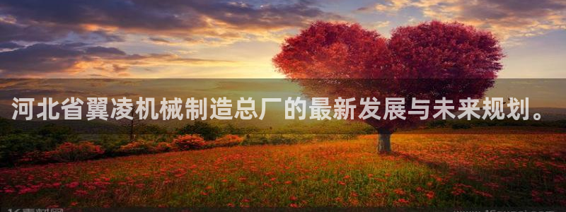 摩根娱乐宝教程