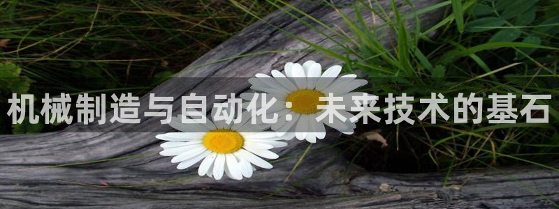 奥飞娱乐摩根调研