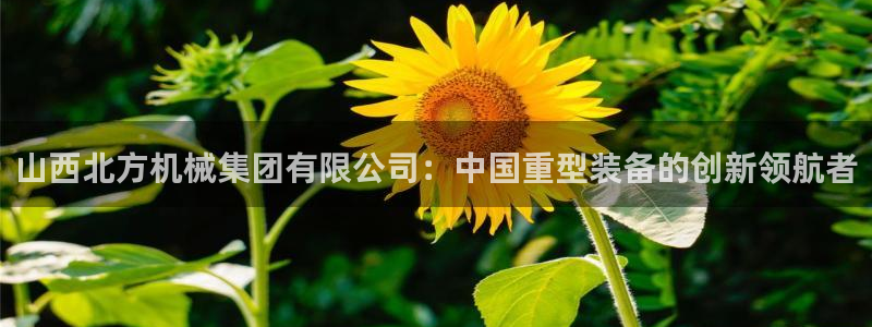 摩根娱乐黑别人网站
