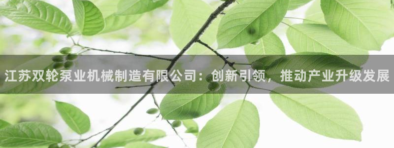 摩根国际娱乐宝书籍