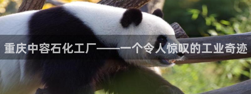 摩根娱乐宝k线图