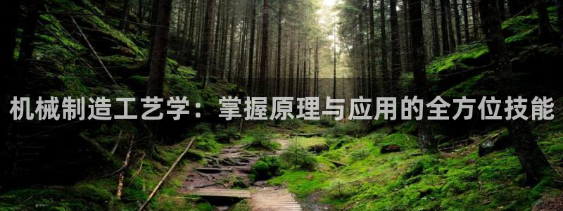 重生娱乐美日混血摩根