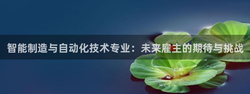 摩根娱乐宝招商