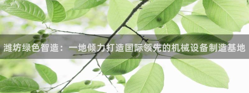 摩根娱乐宝怎么下载