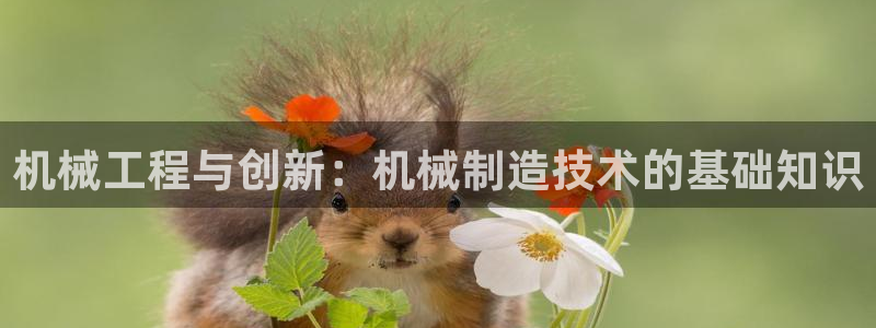 摩根娱乐彩票最忌三种东西