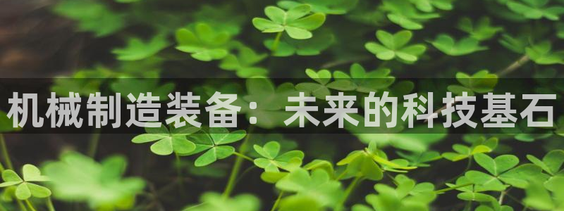 摩根娱乐宝官网下载