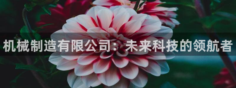 摩根娱乐宝是真的吗