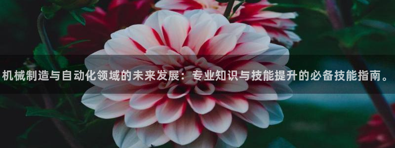 摩根娱乐宝官网下载